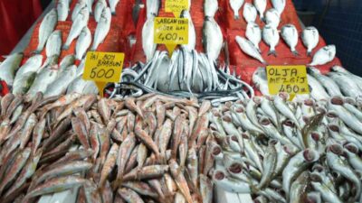 Samsun Büyükşehir Belediyesi Balık Hali'nde, tezgâhlar zengin ancak fiyatlar oldukça