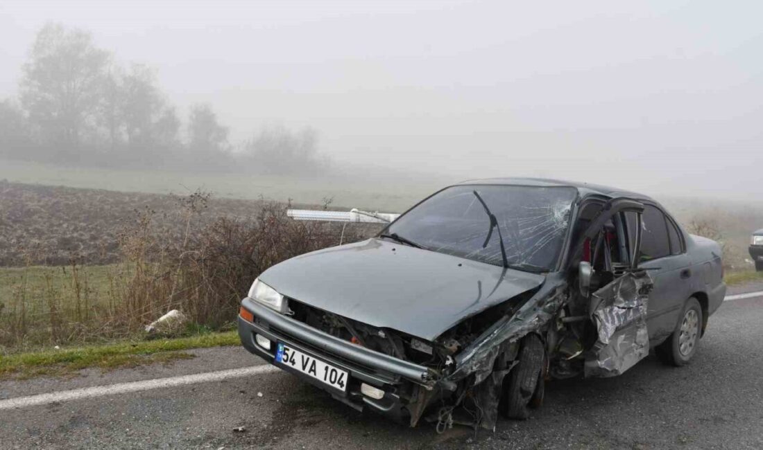 Samsun'un Vezirköprü ilçesinde meydana gelen otomobil kazasında Adem Kaya, Arif
