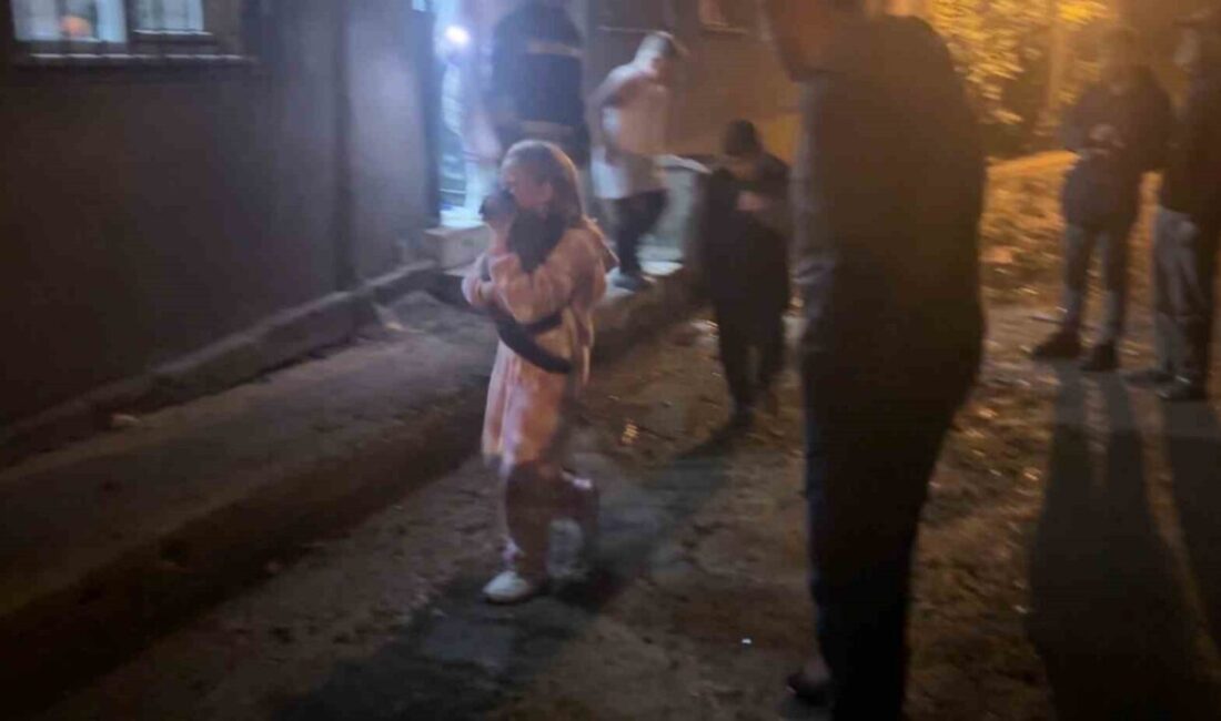 Samsun’da Yangın Faciasında İki Kişi Dumandan Etkilendi, Küçük Kızın Kedisiyle Yaşadığı Ayrılık Yürekleri Burktu Samsun'da bir 4 katlı binanın giriş katında soba nedeniyle çıkan