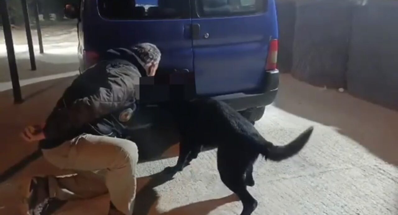 Samsun'un Havza ilçesinde gerçekleştirilen operasyonda, T.Ş. (25), B.Ş. (42) ve