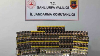 Şanlıurfa'da jandarma ekipleri, Viranşehir ve Suruç'ta düzenledikleri operasyonlarda 5 bin