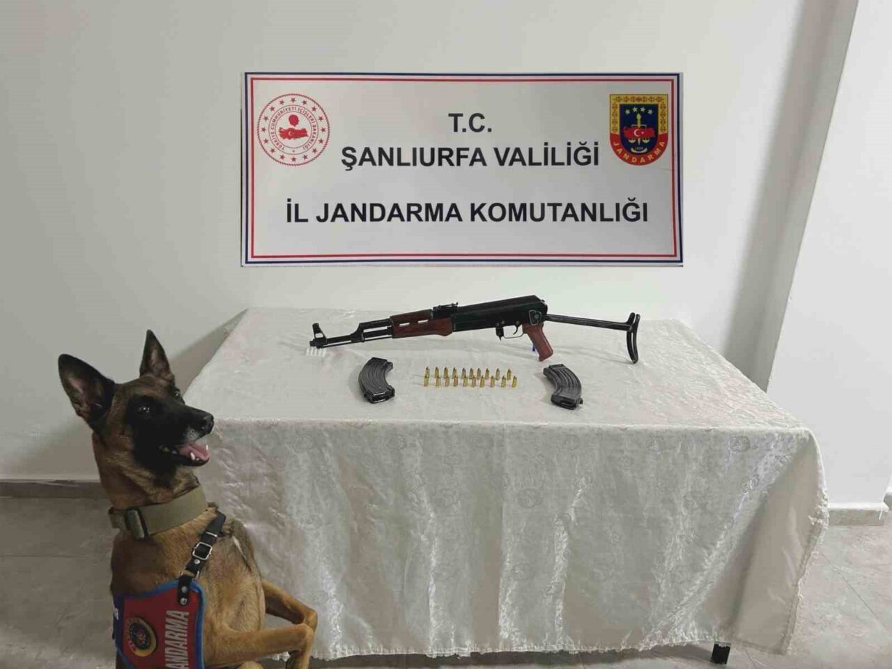 Şanlıurfa’da jandarma, düzenlediği silah operasyonunda bir kişiyi gözaltına alırken, çok sayıda silah ve mühimmat ele geçirdi.