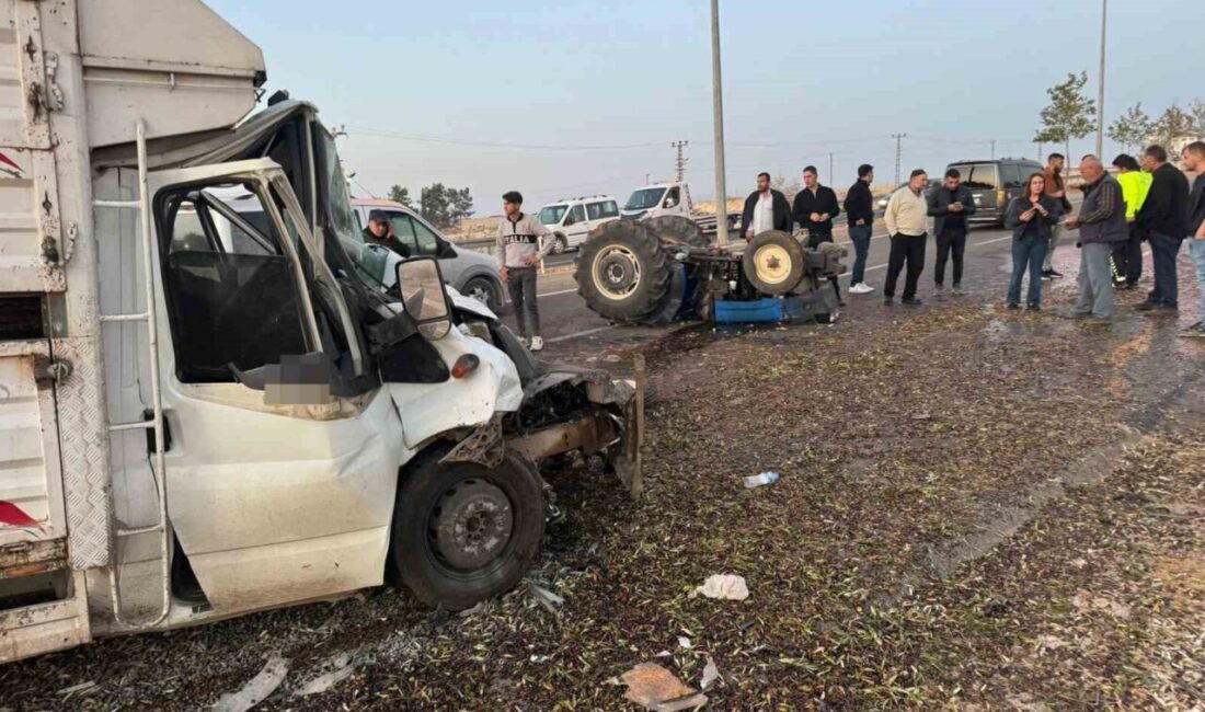 Şanlıurfa'nın Birecik ilçesinde zeytin yüklü traktör ile bir kamyonetin çarpışması
