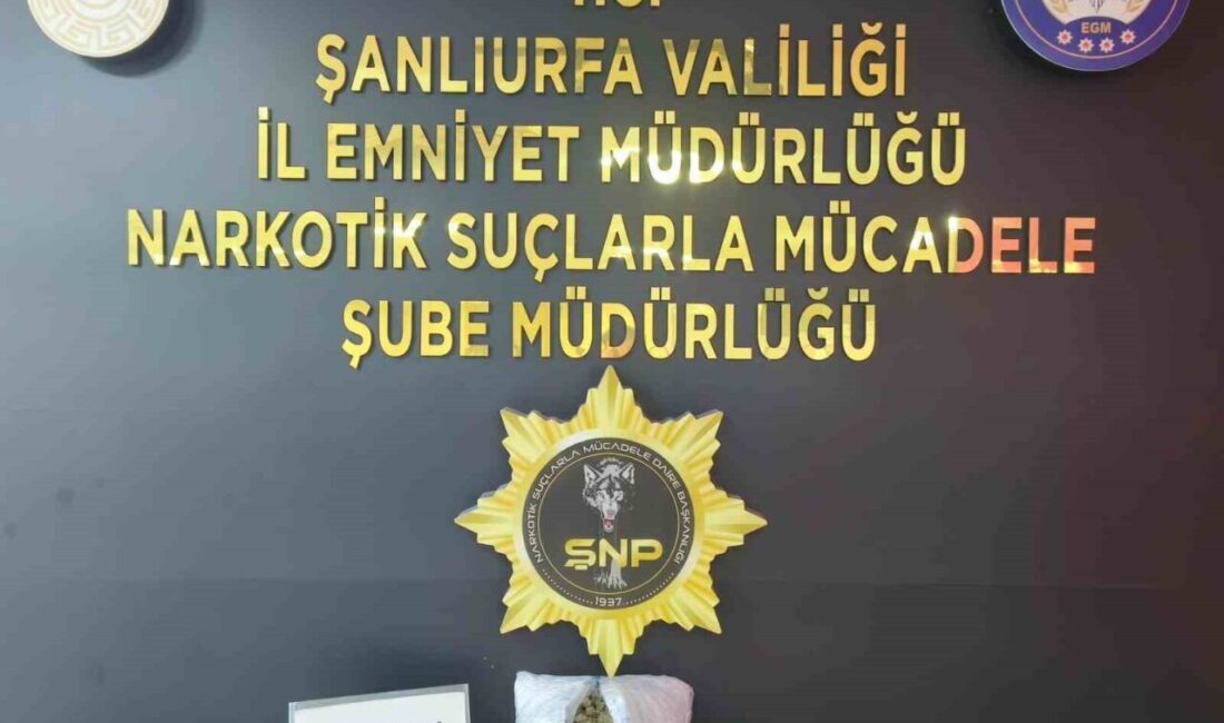 Şanlıurfa'da gerçekleştirilen narkotik operasyonunda 1 kilo 200 gram skunk maddesi