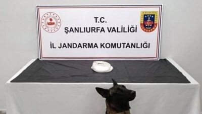 Şanlıurfa İl Jandarma Komutanlığı, Haliliye'de düzenlediği operasyonda uyuşturucu bulunduran 2