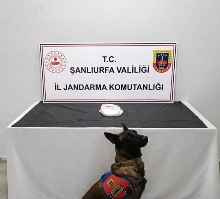Şanlıurfa’da Narkotik Operasyonu: İki Şahıs Gözaltına Alındı, 500 Gram Metamfetamin Ele Geçirildi Şanlıurfa İl Jandarma Komutanlığı, Haliliye'de düzenlediği operasyonda uyuşturucu bulunduran 2