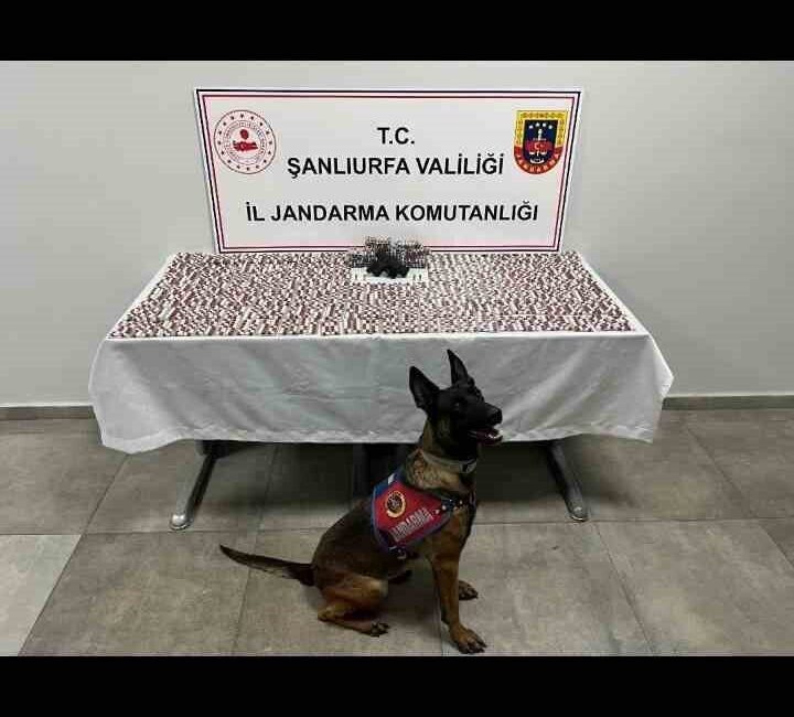 Şanlıurfa'da, jandarma tarafından düzenlenen operasyonda uyuşturucu ticareti yaptığı belirlenen iki