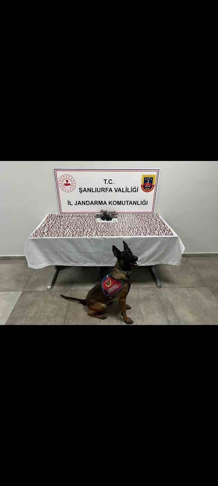 Şanlıurfa’da Uyuşturucu Ticareti Yapan Şahıslara Yönelik Operasyonda Çok Sayıda Uyuşturucu Hap ve Silah Ele Geçirildi