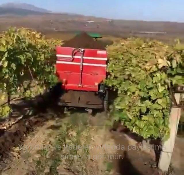 Manisa'nın Sarıgöl ilçesinde, üzüm hasadının tamamlanmasının ardından üreticiler kışlık bakım