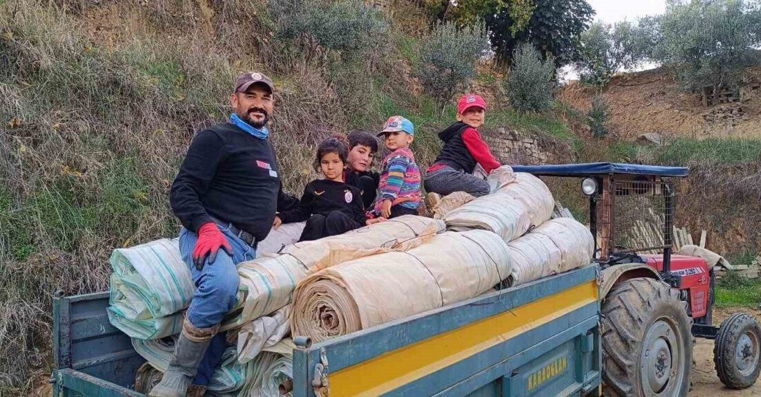 Sarıgöl’de üzüm bağlarında hasat sonrası beyaz naylon örtülerin toplanma işlemi