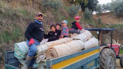 Sarıgöl’de üzüm bağlarında hasat sonrası beyaz naylon örtülerin toplanma işlemi