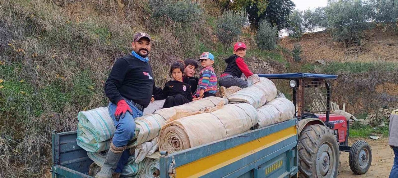 Sarıgöl’de üzüm bağlarında hasat sonrası beyaz naylon örtülerin toplanma işlemi