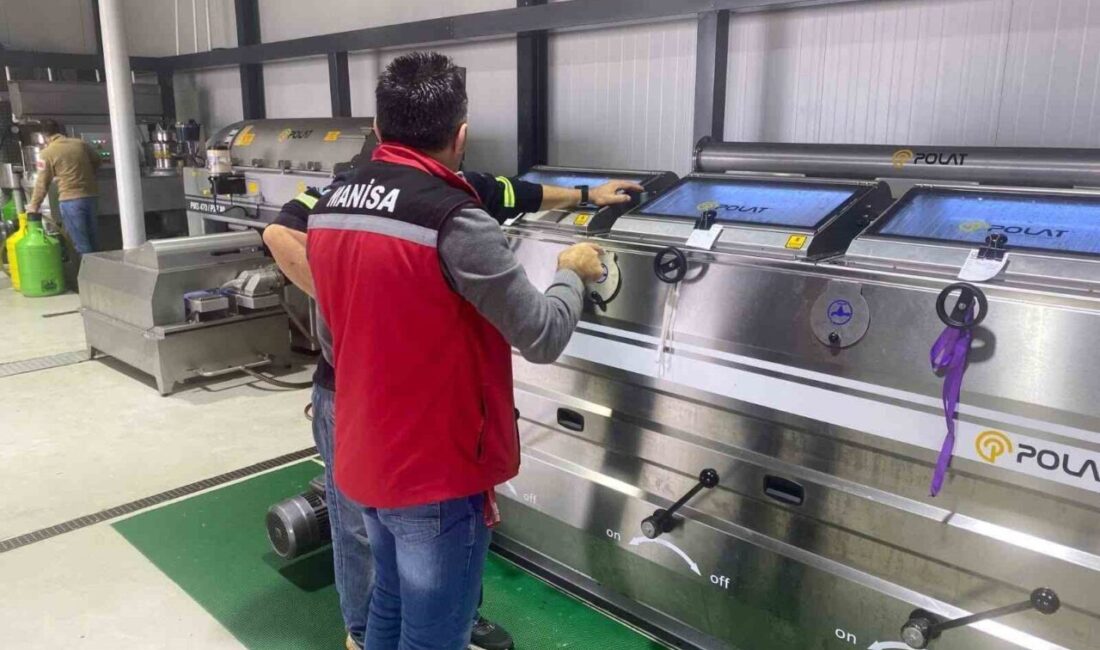 Sarıgöl İlçe Tarım ve Orman Müdürlüğü, yerel yağhaneler ve zeytinyağı