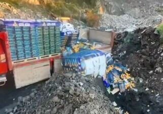 Artvin Sarp Sınır Kapısı'nda, Mersin'den Gürcistan'a gitmek üzere gönderilen 6,1