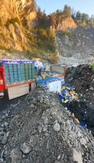 Artvin Sarp Sınır Kapısı'nda, Mersin'den Gürcistan'a gitmek üzere gönderilen 6,1