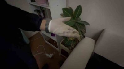 Sakarya’nın Serdivan ilçesinde jandarma tarafından gerçekleştirilen uyuşturucu operasyonunda S.A. serbest