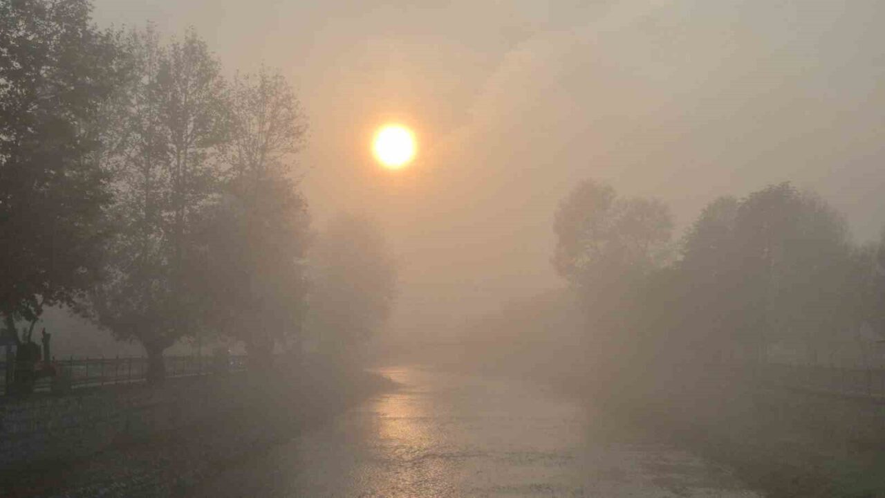 Düzce şehir merkezinde sabah saatlerinde etkili olan sis, görüş mesafesini