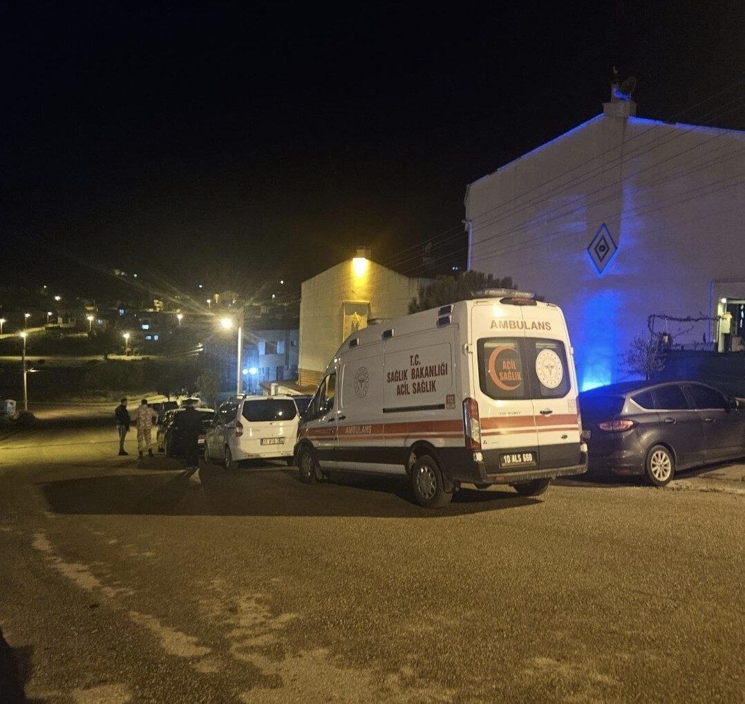 Gürcistan sınırında meydana gelen kaza sonucu düşen askeri kargo uçağında