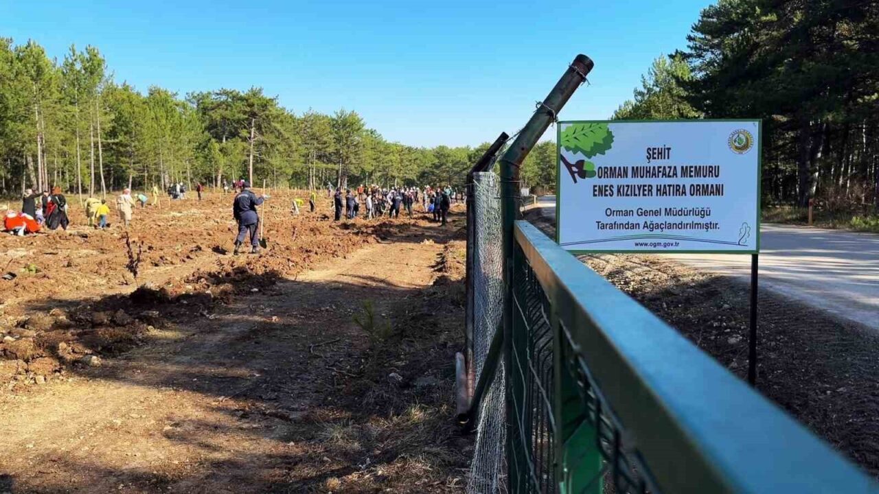 Karabük'te düzenlenen "Milli Ağaçlandırma Günü" etkinliğinde, şehit orman işçisi Enes