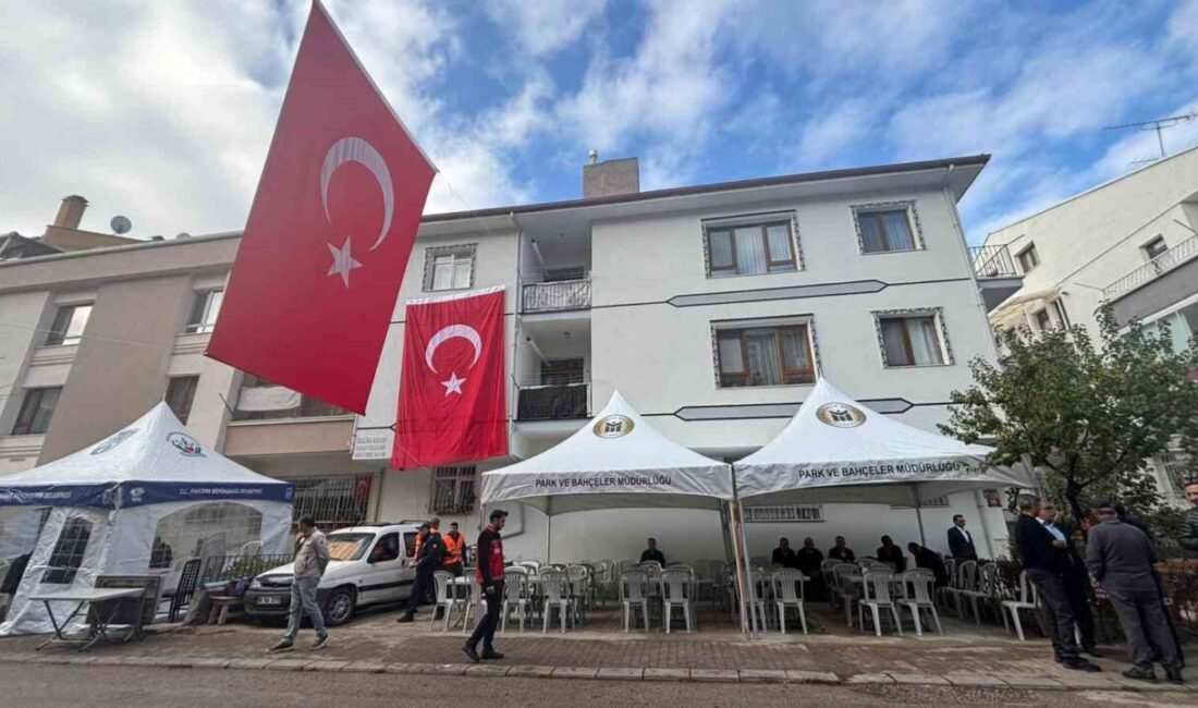 Gürcistan-Azerbaycan sınırında düşen C-130 askeri kargo uçağında şehit olan Hava