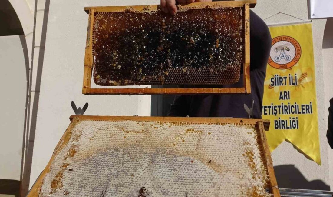 Siirt Valisi Kemal Kızılkaya, IPARD programı çerçevesinde 16 bin 695