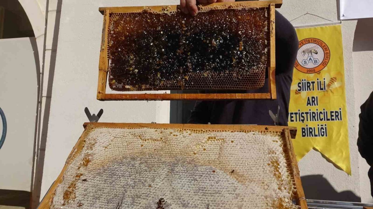 Siirt’te Tarım ve Arıcılık Alanında Genişletilen Destek Projeleri Hayata Geçirildi