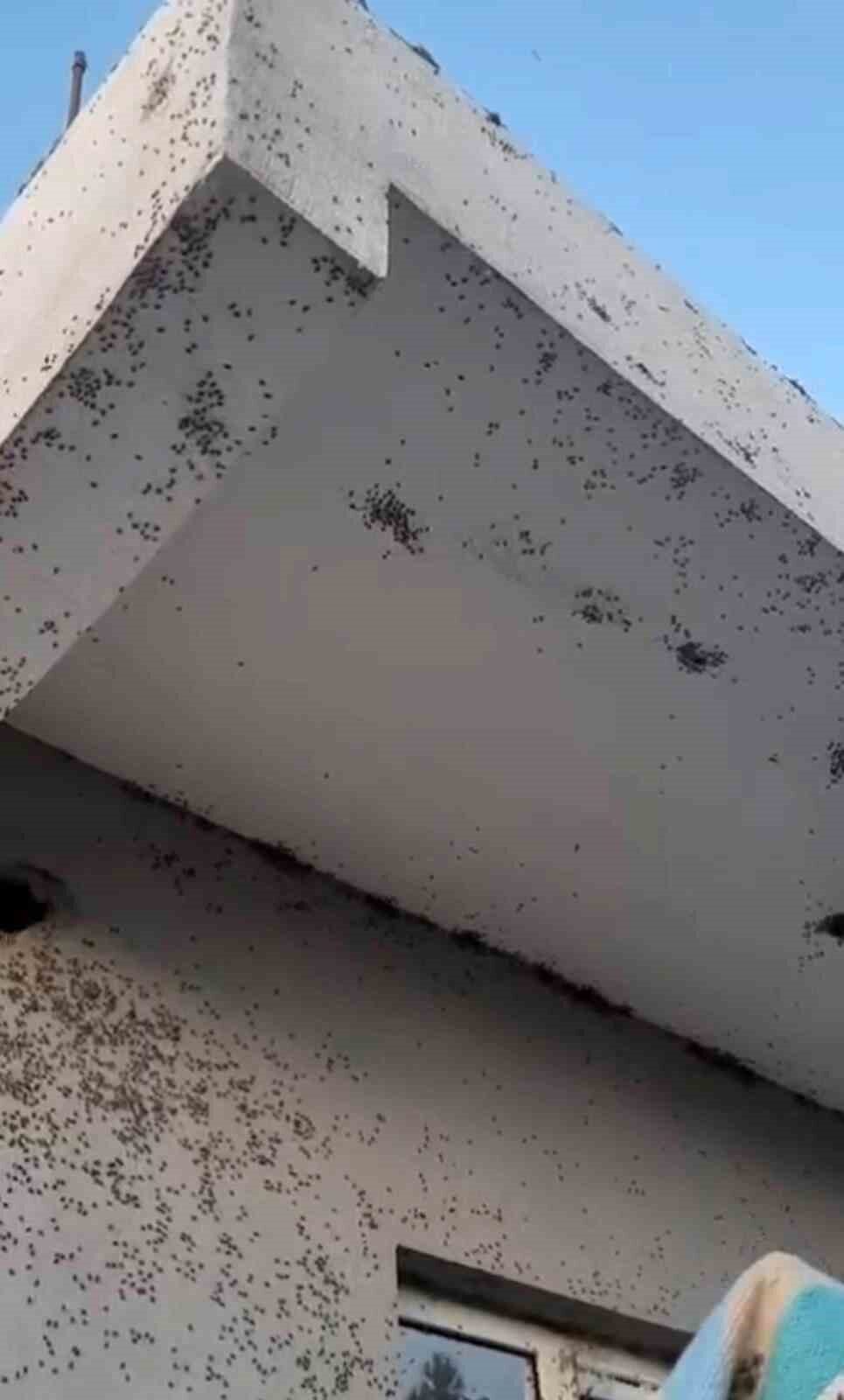 Siirt'in Kurtalan ilçesindeki Çalıdüzü, Toytepe, Yunuslar, Gözpınar, Yoldurağı ve Gökdoğan