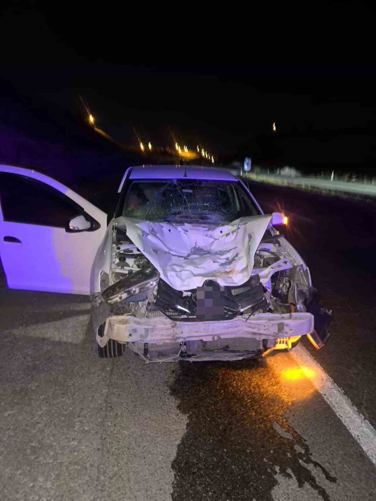 Siirt'in Kurtalan ilçesinde, yolda dolaşan bir ata otomobil çarptı. Kaza