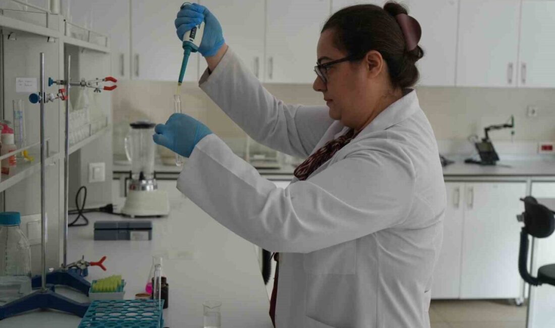 Gıda Zehirlenmelerine Karşı Uzmanlardan Önemli Uyarılar: Güvenli Besin Tercihleri Şart Son günlerde Türkiye'de artan gıda zehirlenmeleri, Kastamonu Üniversitesi uzmanları tarafından