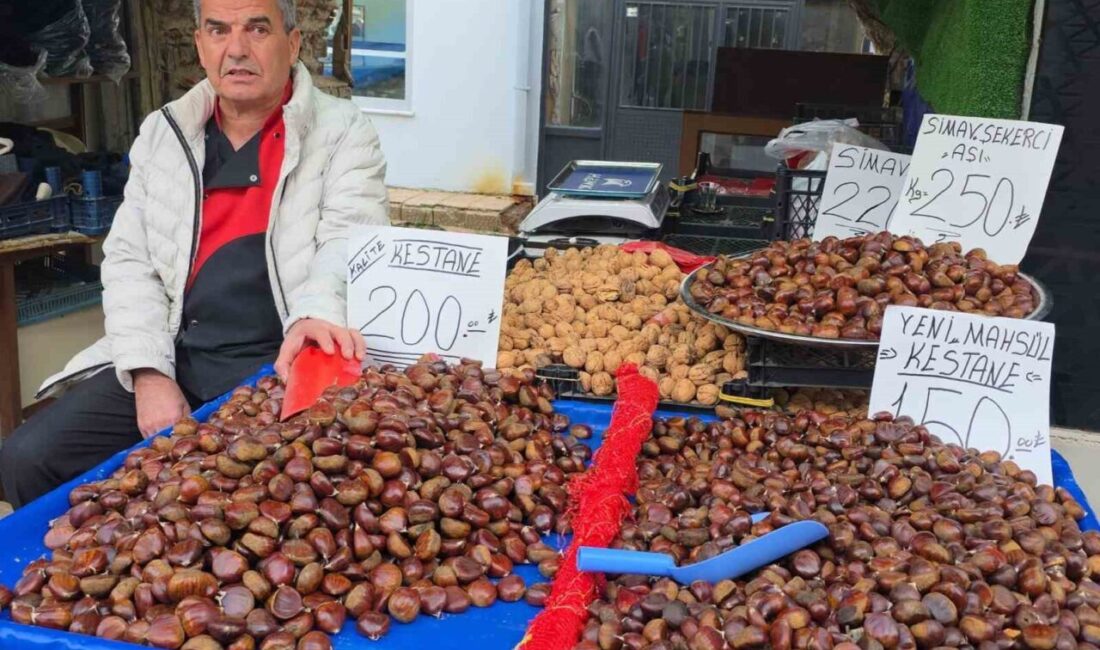 Simav Kestanesi, Kış Aylarının Gözde Lezzeti Olmaya Devam Ediyor Kütahya'nın Simav ilçesinde üretilen Simav kestanesi, kış mevsiminin popüler lezzetlerinden
