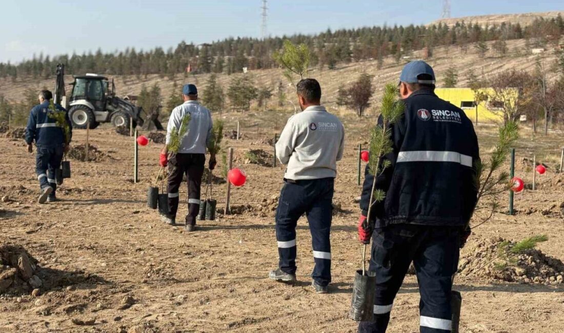 Sincan Belediyesi, 25 Kasım Kadına Yönelik Şiddete Karşı Uluslararası Mücadele