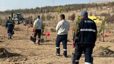 Sincan Belediyesi, 25 Kasım Kadına Yönelik Şiddete Karşı Uluslararası Mücadele