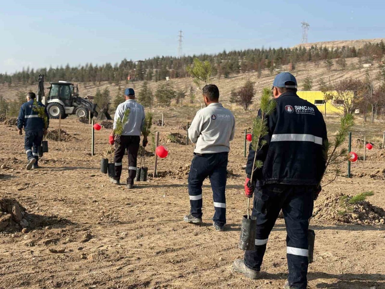 Sincan Belediyesi, 25 Kasım Kadına Yönelik Şiddete Karşı Uluslararası Mücadele