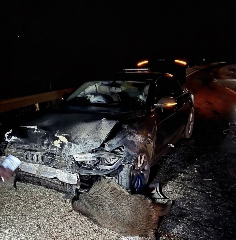 Sinop Belediye Başkanı Metin Gürbüz'ün makam aracı, Kastamonu'nun Hanönü ilçesinde
