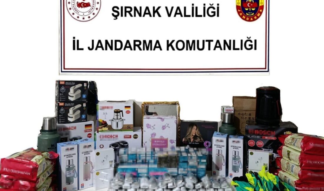 Şırnak’ta gerçekleştirilen operasyon sonucunda 14 milyon lira değerinde kaçak ürün ele geçirildi, 2 kişi tutuklandı. Şırnak’ta gerçekleştirilen operasyonda, piyasa değeri 14 milyon lira olan kaçak