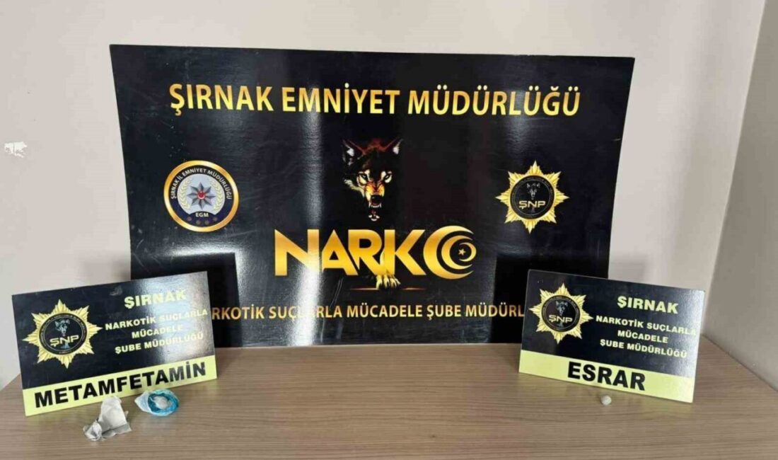 Şırnak'ta Narkotik Suçlarla Mücadele Şube Müdürlüğü ekipleri, 14 Kasım'da gerçekleştirdiği