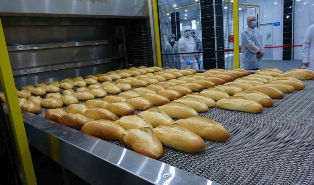 Sivas'ta Özbelsan A.Ş. bünyesinde yeni bir ekmek fabrikası açıldı. Günde