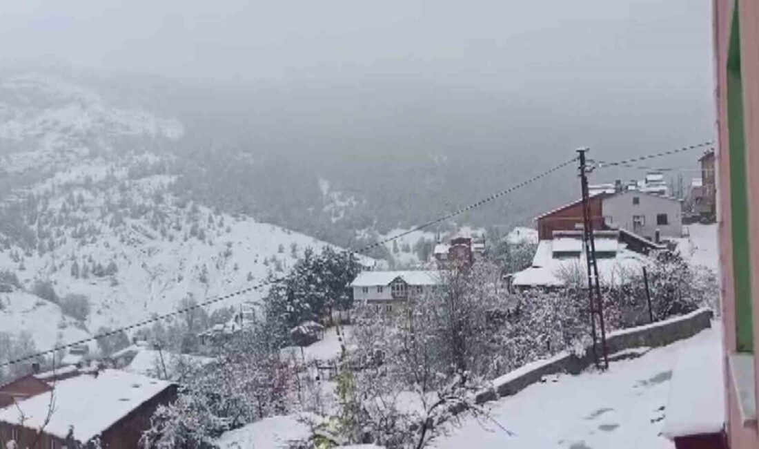 Sivas'ın yüksek kesimlerinde kar yağışı etkili oldu. Koyulhisar'da sabah karla