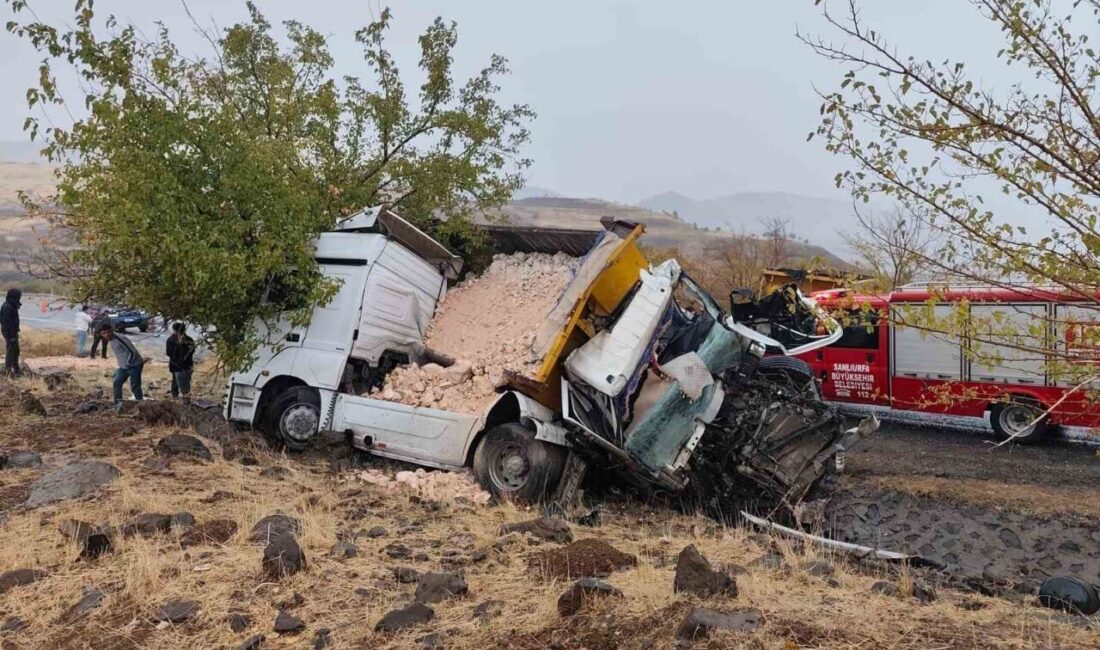 Şanlıurfa'nın Siverek ilçesi ile Adıyaman arasında meydana gelen trafik kazasında
