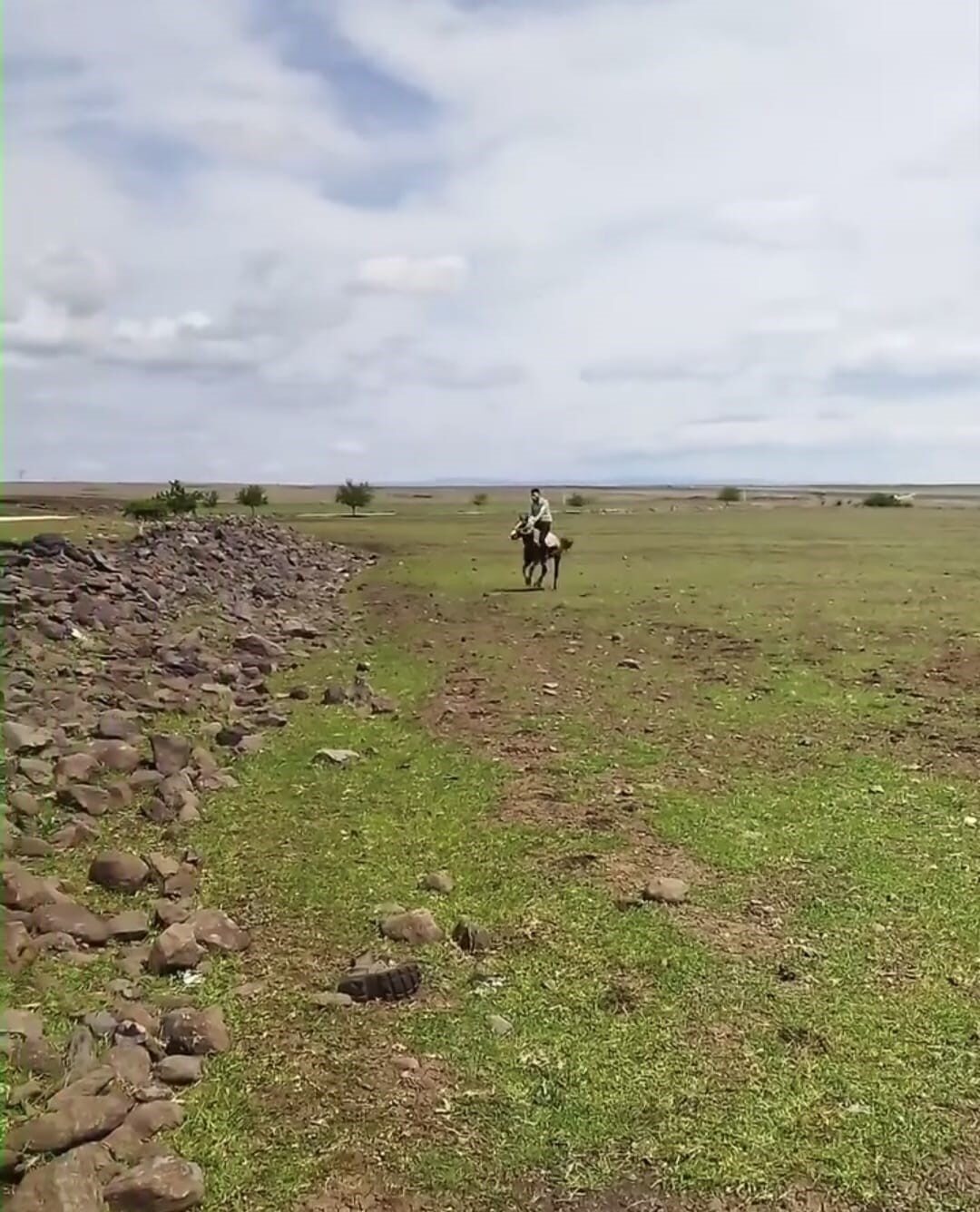 Siverek’te Kameralara Yansıyan Eğlenceli ve Şaşırtıcı Olaylar İzleyenleri Güldürdü