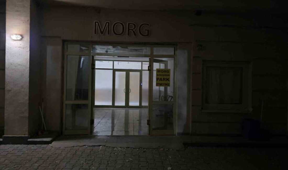 Siverek’te Sobadan Sızan Duman, Yaşlı Çiftten Birinin Hayatına Mal Oldu, Diğeri Ağır Yaralı Şanlıurfa'nın Siverek ilçesinde sobadan sızan duman nedeniyle Hacı Özpolat (64)