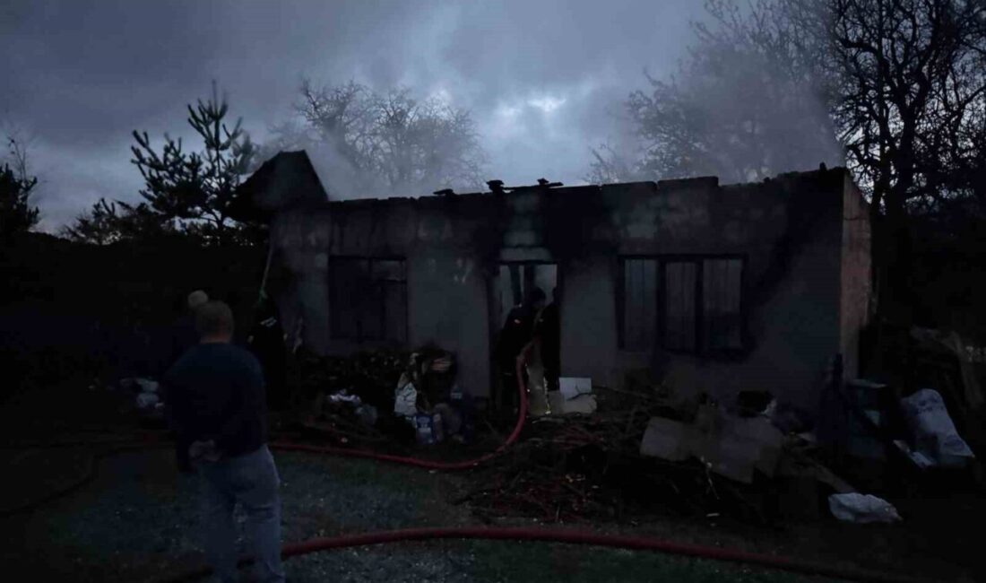 Kastamonu'nun Devrekani ilçesinde, İnciğez köyünde arıcılık yapan İ.D., sobayı yakmak