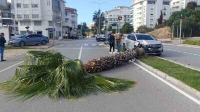 Manavgat ilçesinde, uzun süredir araç kullanmayan Reyhan Ö., pratik yaparken