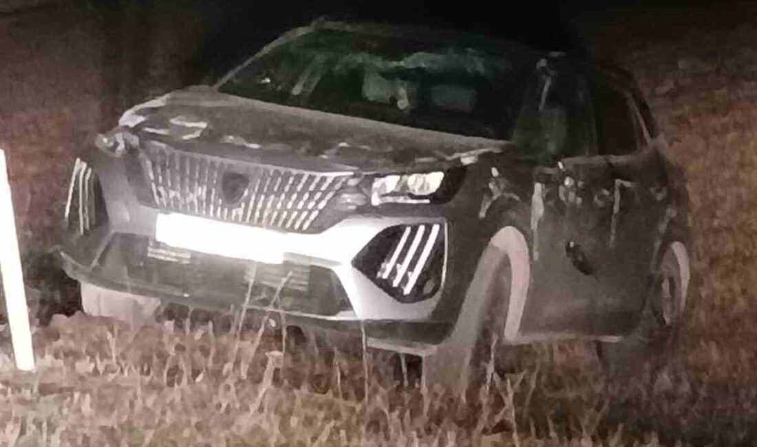 Erzurum'un Karayazı ilçesinde, Sedat Tutkun'un kullandığı araç kaygan yolda kontrolden