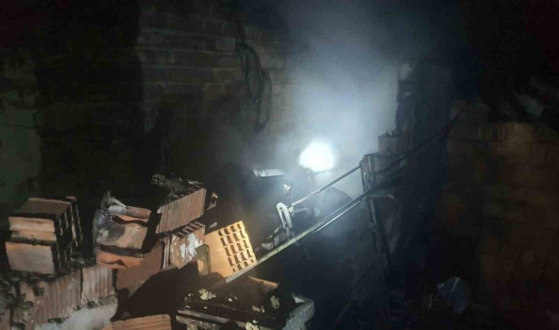 Bilecik'in Söğüt ilçesindeki Çaltı köyünde, Vedat Ç.'ye ait terkedilmiş bir