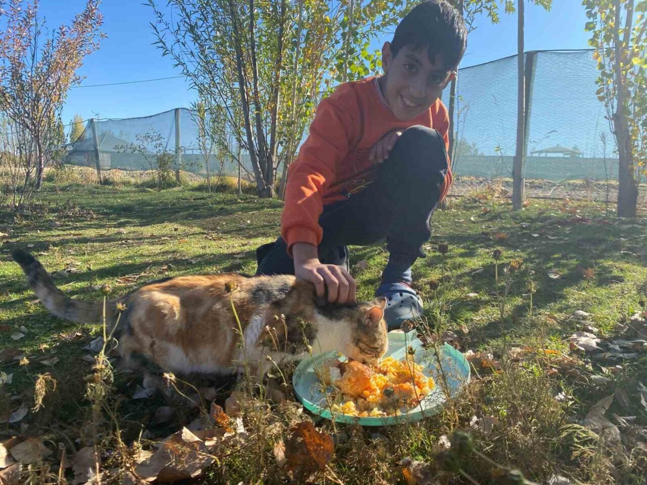 Ağrı'nın Patnos ilçesinde yaşayan Seren Albay, üç yıldır sokak hayvanlarına