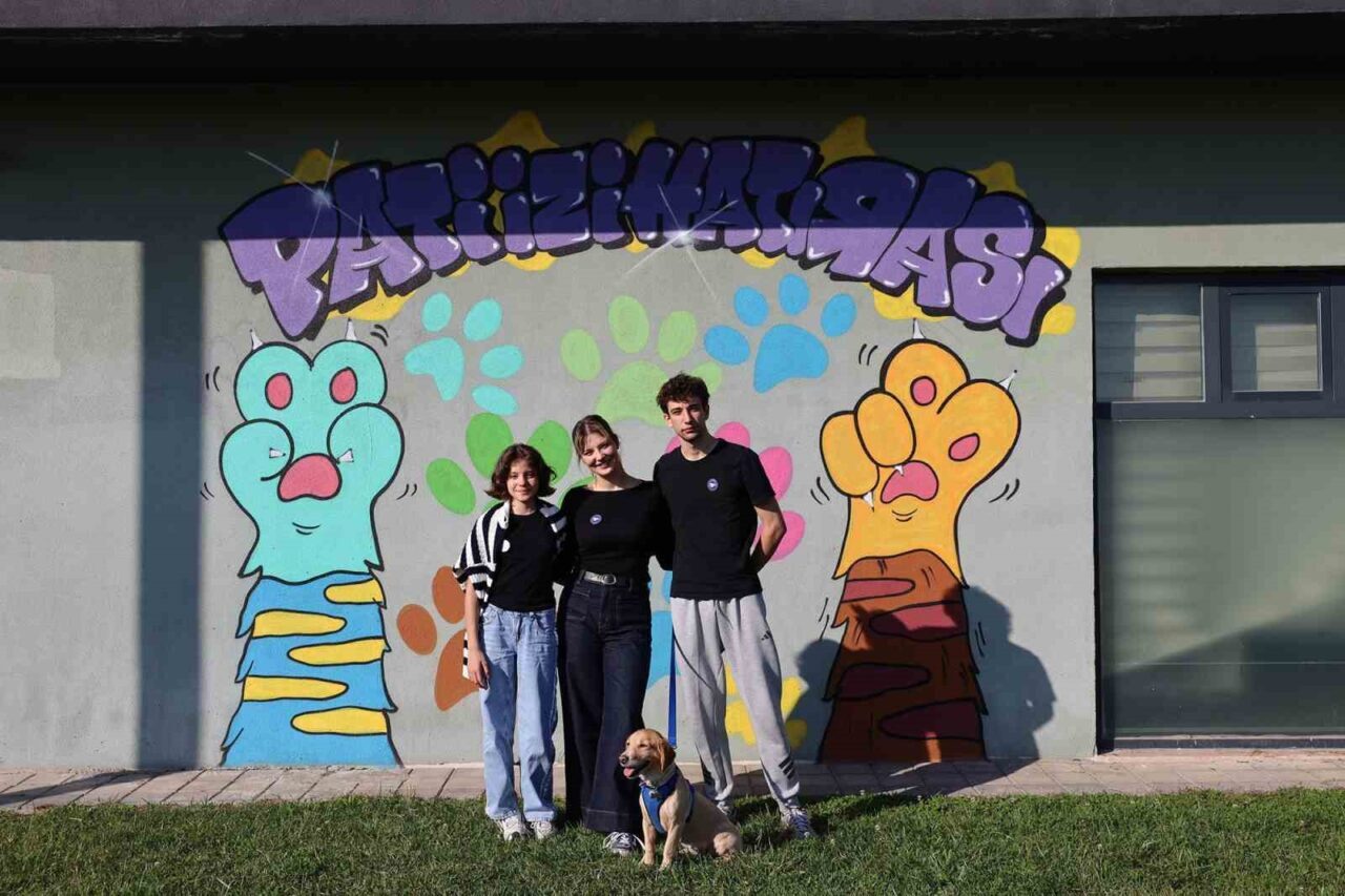 Sakarya Büyükşehir Belediyesi’nin Pati İzi projesi sayesinde, sokak hayvanları sıcak