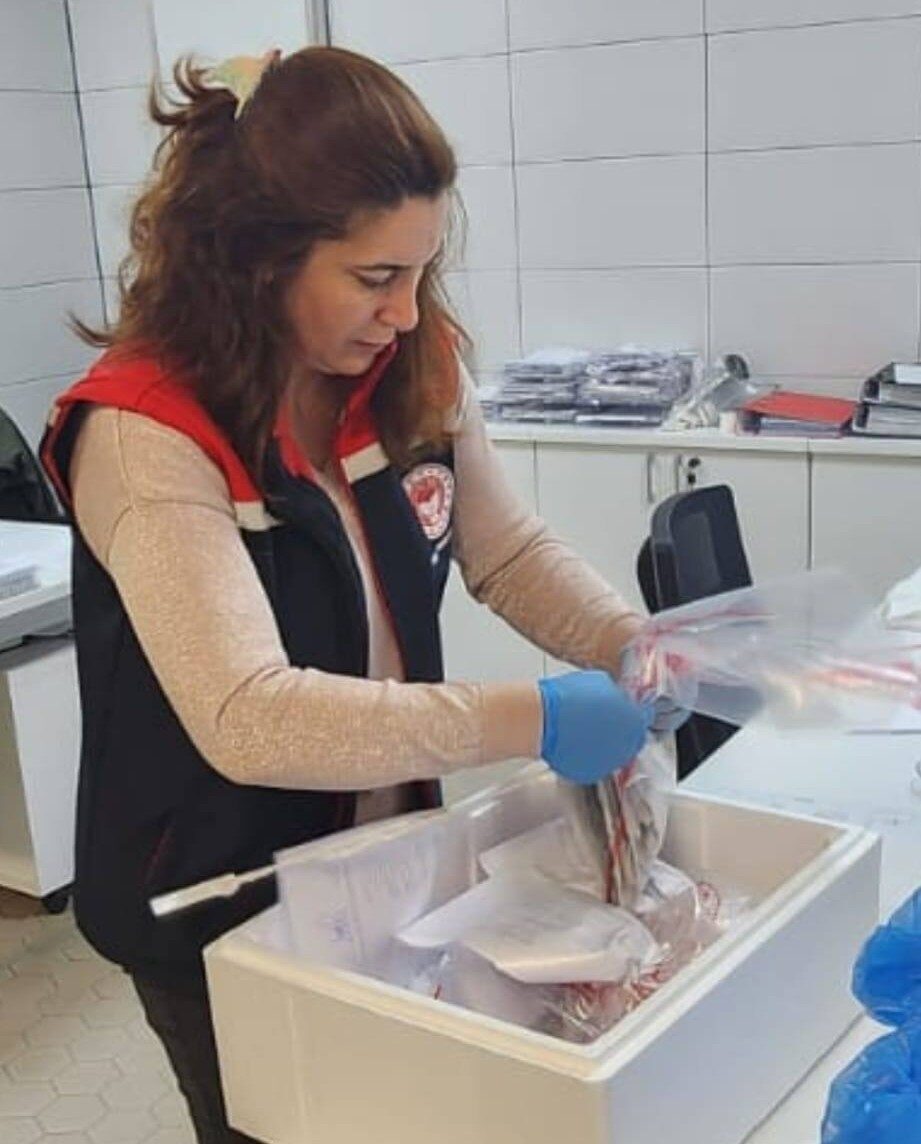 Söke İlçe Tarım ve Orman Müdürlüğü, ilçeden yurtdışına ihraç edilecek