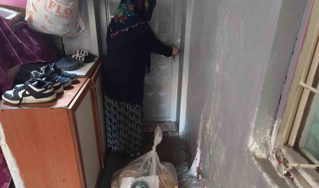 Diyarbakır merkezli Sultan Şeyhmus EZ-ZULİ Derneği, bu hafta gıda yardımlarını