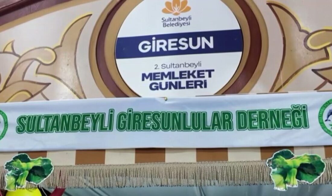 Sultanbeyli Belediyesi, bu yıl ikinci kez düzenlediği "Memleket Günleri" etkinliği